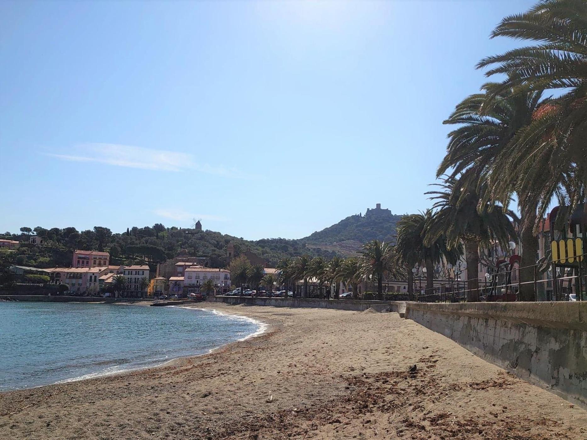 8Col12 Villa De Caractere Avec Piscine Prive Collioure Eksteriør billede